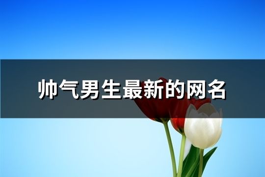 帥氣男生最新的網名(共190個)