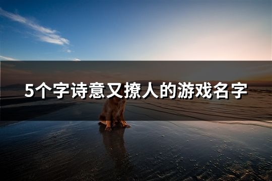 5個(gè)字詩(shī)意又撩人的游戲名字(精選170個(gè))