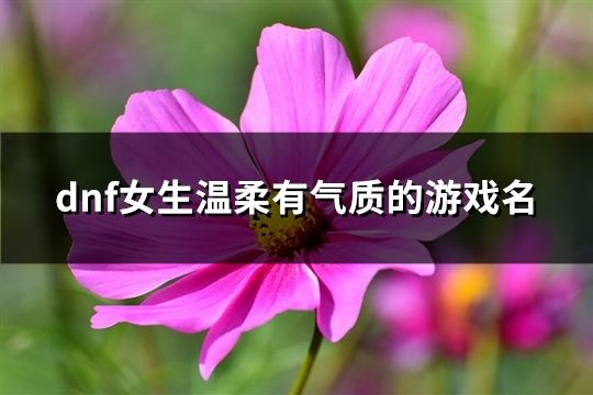 dnf女生溫柔有氣質(zhì)的游戲名(精選102個(gè))
