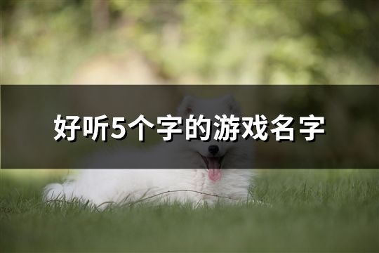 好聽5個字的游戲名字(精選82個)