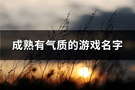 成熟有氣質(zhì)的游戲名字(169個)