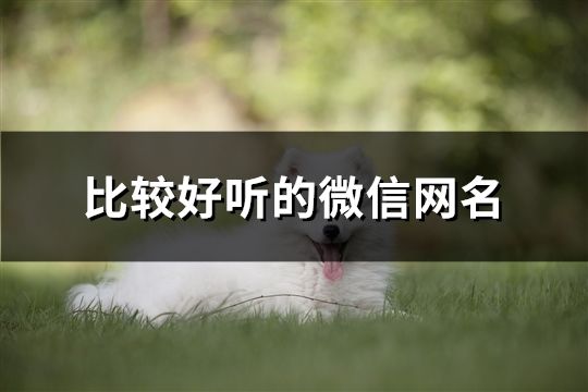 比較好聽的微信網名(119個)