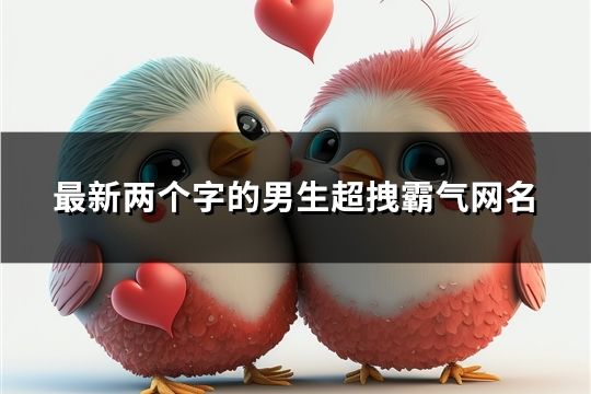 最新兩個字的男生超拽霸氣網名(共112個)