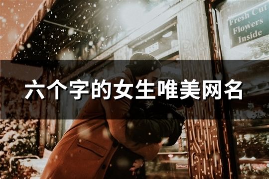 六個字的女生唯美網名(169個)