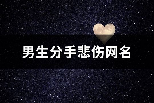 男生分手悲傷網名(共100個)