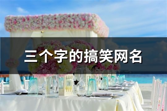 三個字的搞笑網(wǎng)名(精選124個)