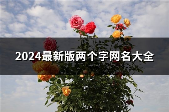 2024最新版兩個字網(wǎng)名大全(共60個)