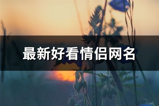 最新好看情侶網(wǎng)名(共126個)