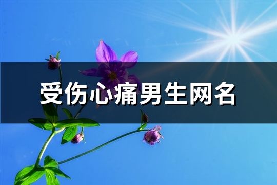 受傷心痛男生網名(精選183個)