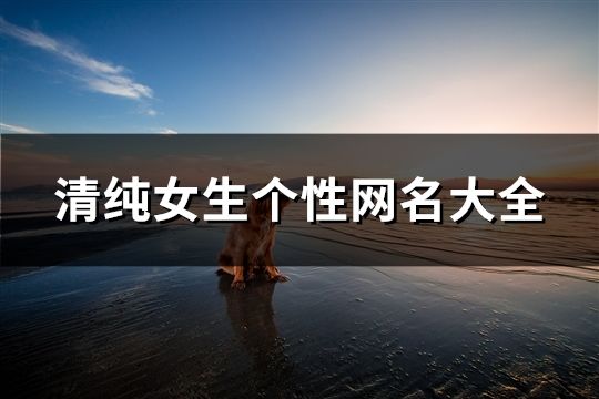 清純女生個性網(wǎng)名大全(共79個)