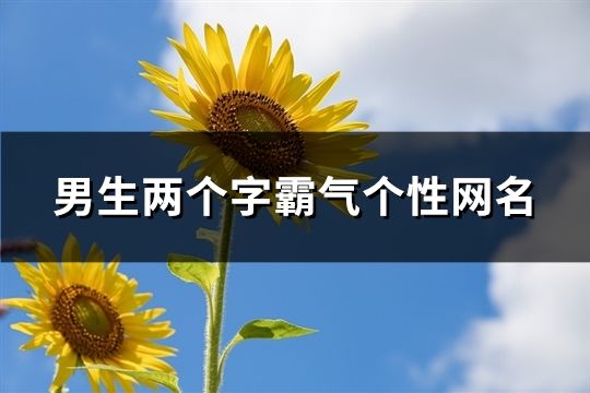 男生兩個字霸氣個性網(wǎng)名(精選97個)