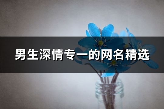 男生深情專一的網名精選(140個)