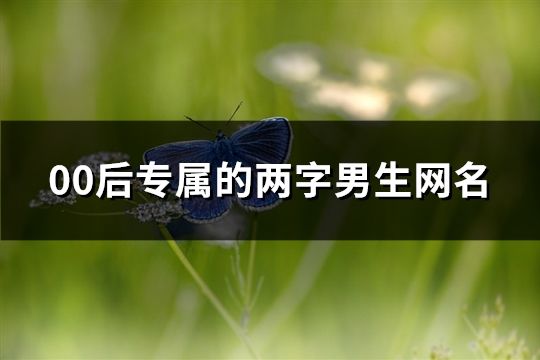 00后專屬的兩字男生網名(72個)