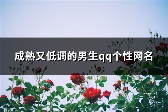 成熟又低調的男生qq個性網名(66個)