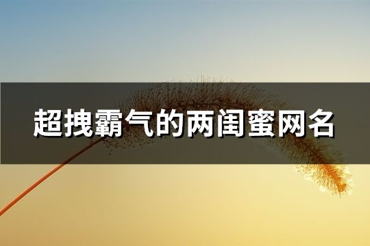 超拽霸氣的兩閨蜜網名(共60個)