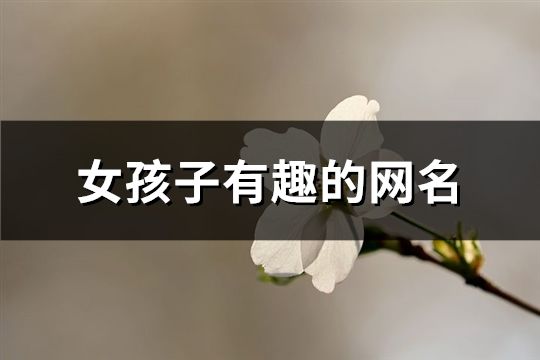 女孩子有趣的網名(共191個)