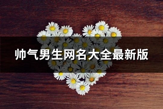 帥氣男生網名大全最新版(精選173個)