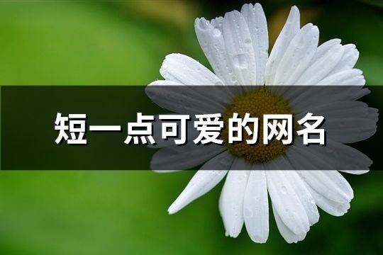 短一點可愛的網名(共178個)