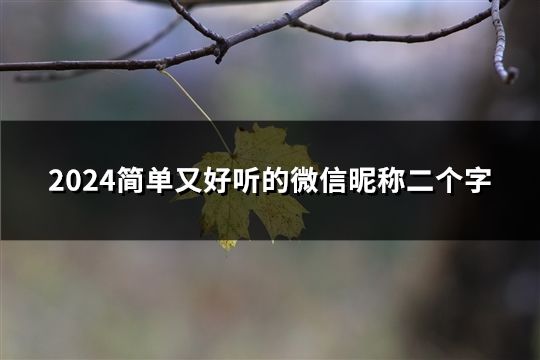 2024簡單又好聽的微信昵稱二個字(82個)