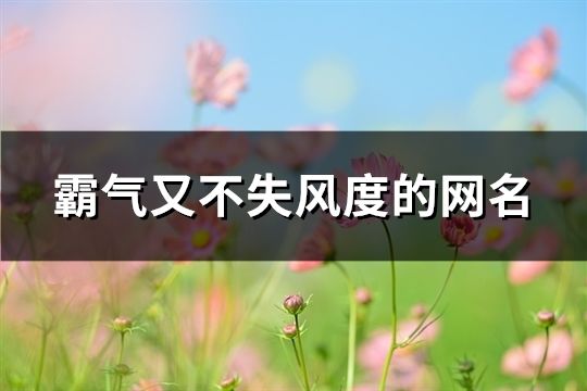 霸氣又不失風度的網名(193個)