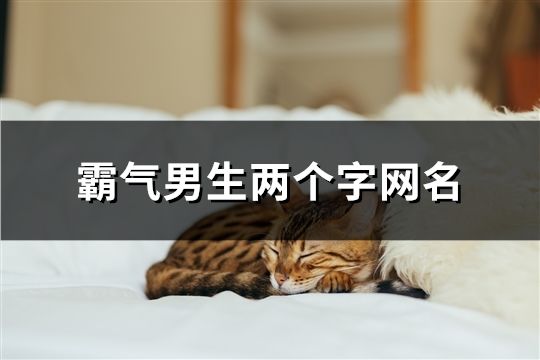 霸氣男生兩個字網名(共81個)