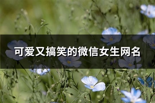 可愛又搞笑的微信女生網(wǎng)名(185個)