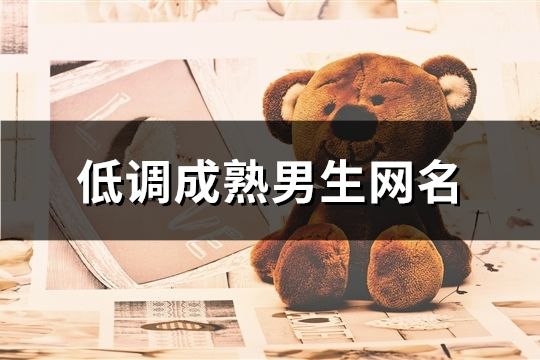 低調成熟男生網名(精選173個)