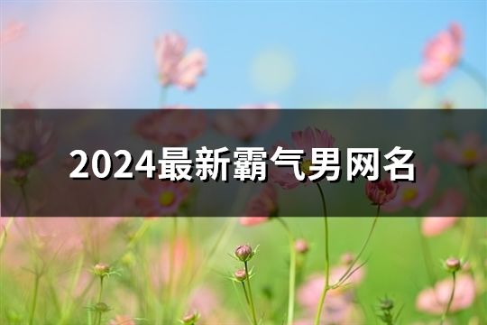 2024最新霸氣男網名(共103個)