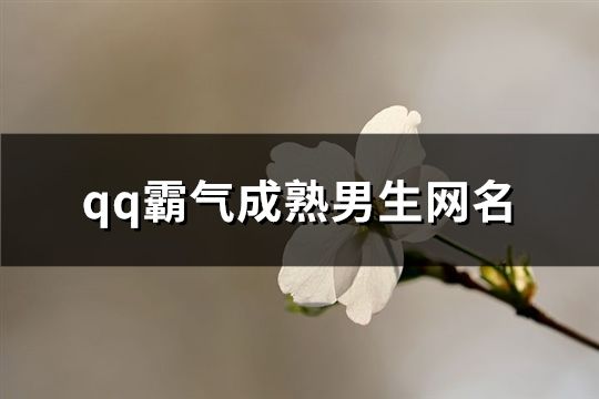 qq霸氣成熟男生網名(精選74個)