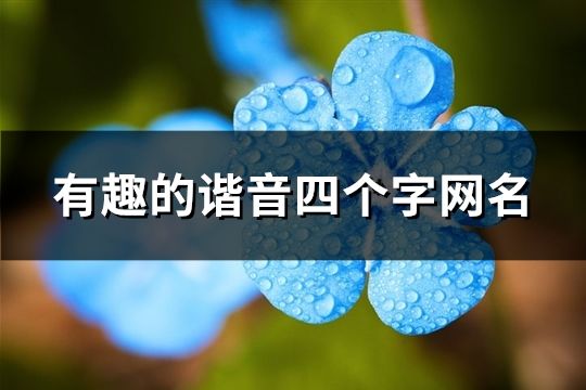 有趣的諧音四個字網名(精選142個)