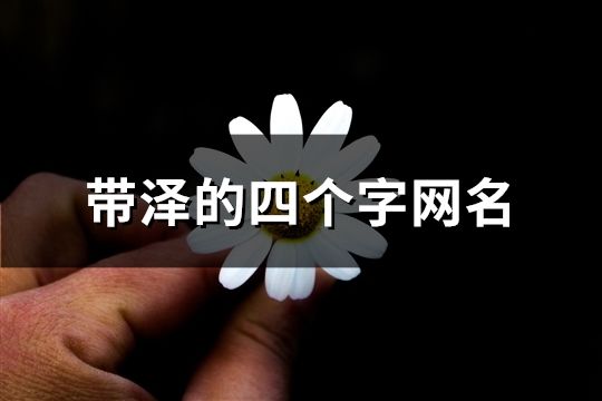 帶澤的四個字網名(精選51個)