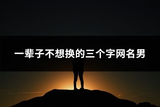 一輩子不想換的三個字網名男(81個)