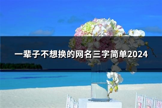 一輩子不想換的網(wǎng)名三字簡單2024(共160個)