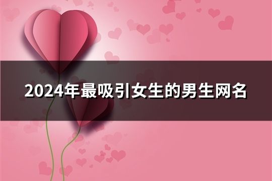 2024年最吸引女生的男生網名(94個)