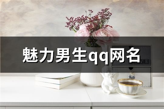 魅力男生qq網(wǎng)名(共60個(gè))