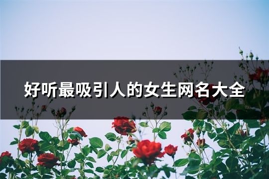 好聽(tīng)最吸引人的女生網(wǎng)名大全(174個(gè))