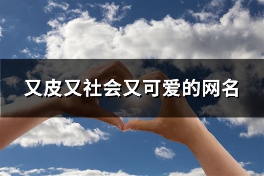 又皮又社會又可愛的網名(73個)