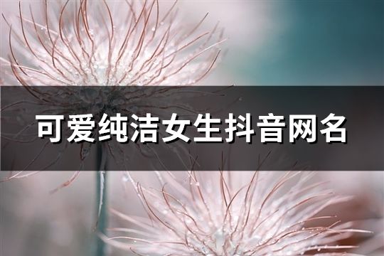 可愛純潔女生抖音網名(精選65個)