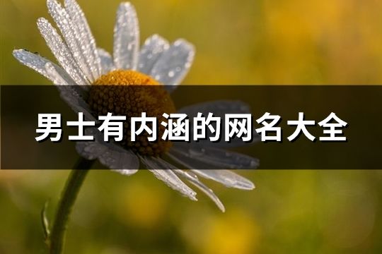 男士有內涵的網名大全(精選92個)