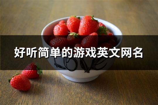 好聽簡單的游戲英文網(wǎng)名(187個)