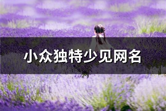 小眾獨特少見網名(精選196個)