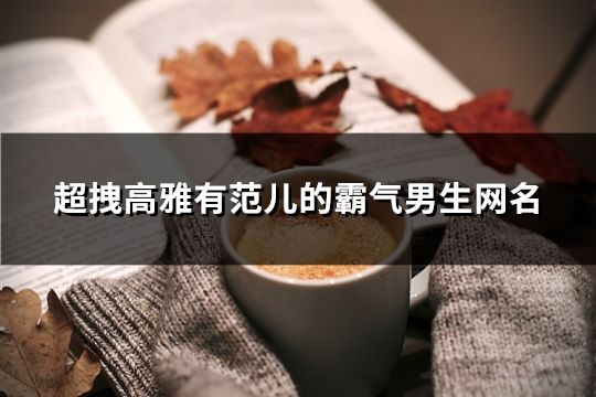 超拽高雅有范兒的霸氣男生網名(共88個)