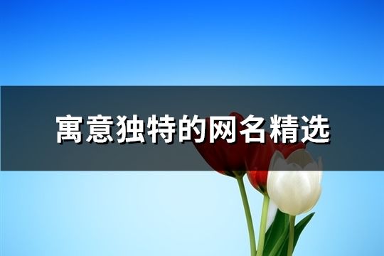 寓意獨特的網名精選(精選61個)