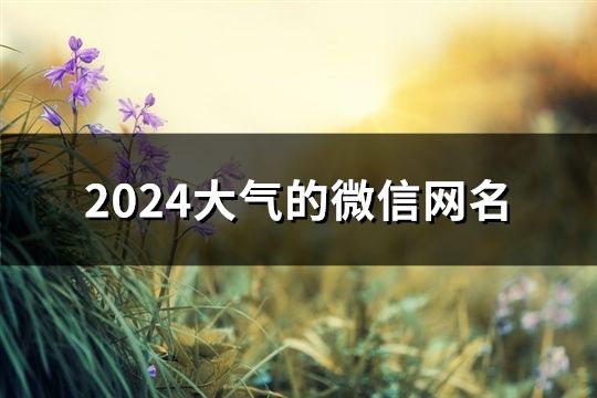 2024大氣的微信網(wǎng)名(168個)