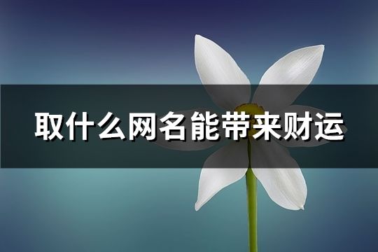 取什么網(wǎng)名能帶來財運(精選157個)