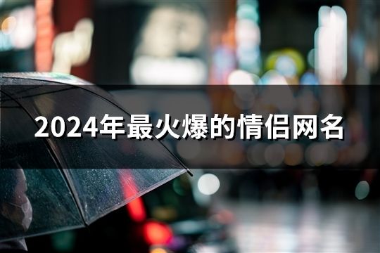 2024年最火爆的情侶網名(61個)