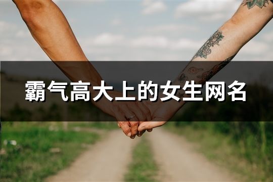 霸氣高大上的女生網名(共71個)