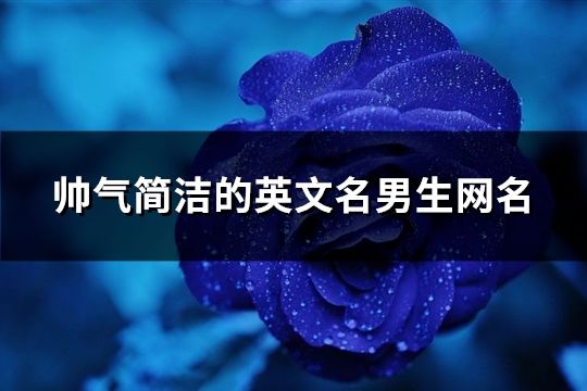 帥氣簡(jiǎn)潔的英文名男生網(wǎng)名(166個(gè))