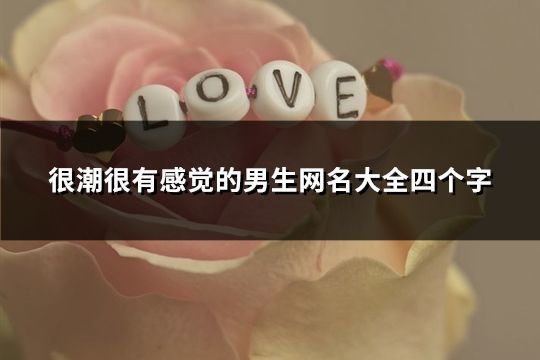 很潮很有感覺的男生網名大全四個字(43個)