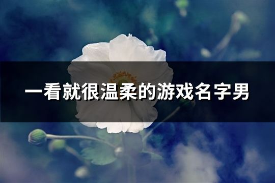一看就很溫柔的游戲名字男(55個)